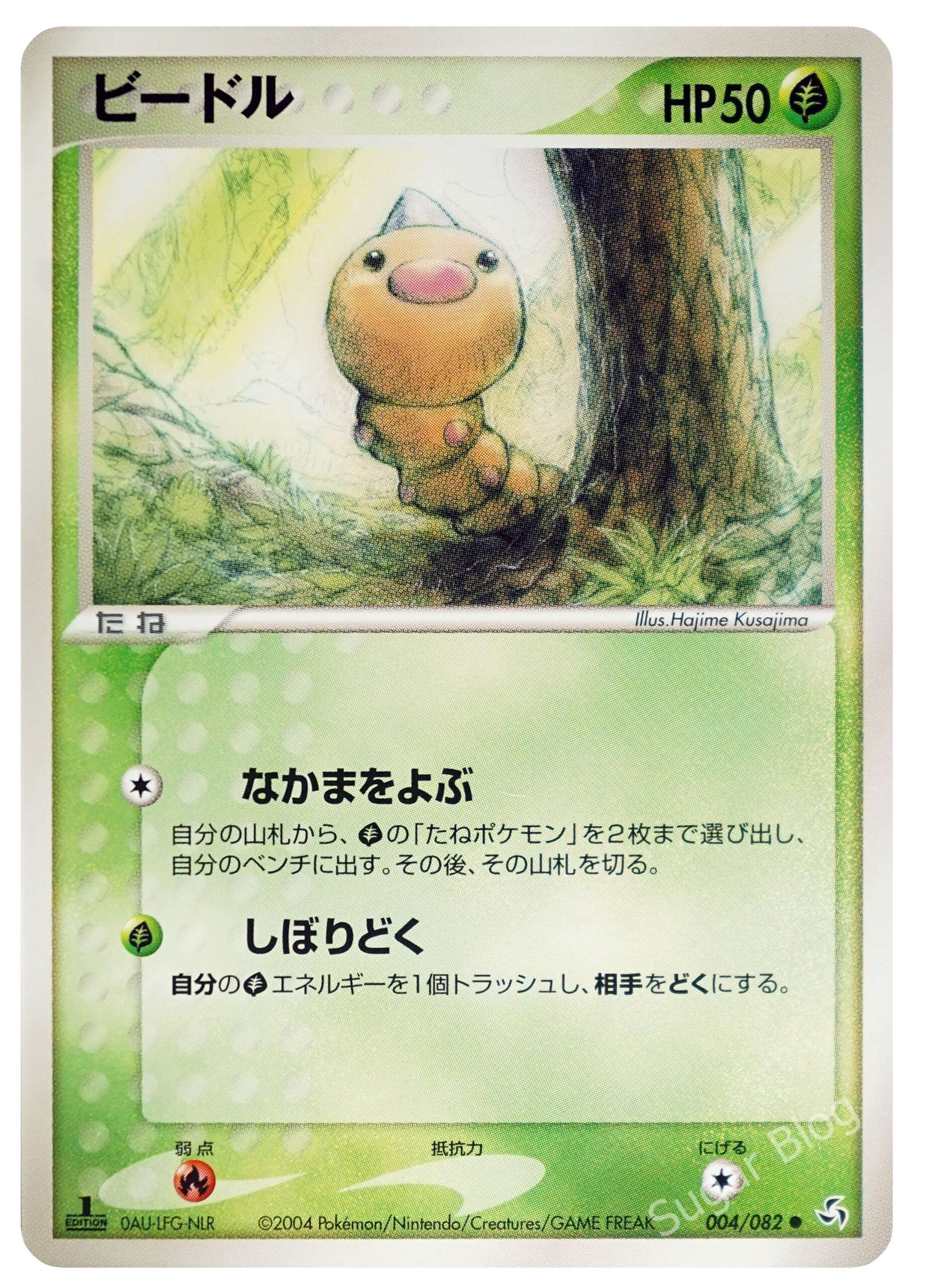 004_ビードル_NLR_1ED-scaled.jpg